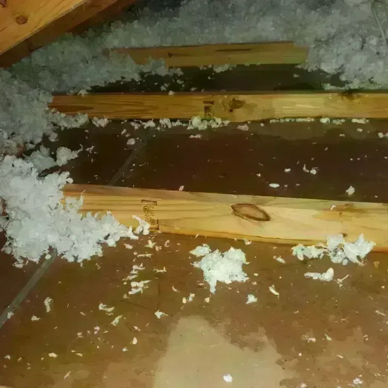 Attic Water Damage in San Angelo, TX