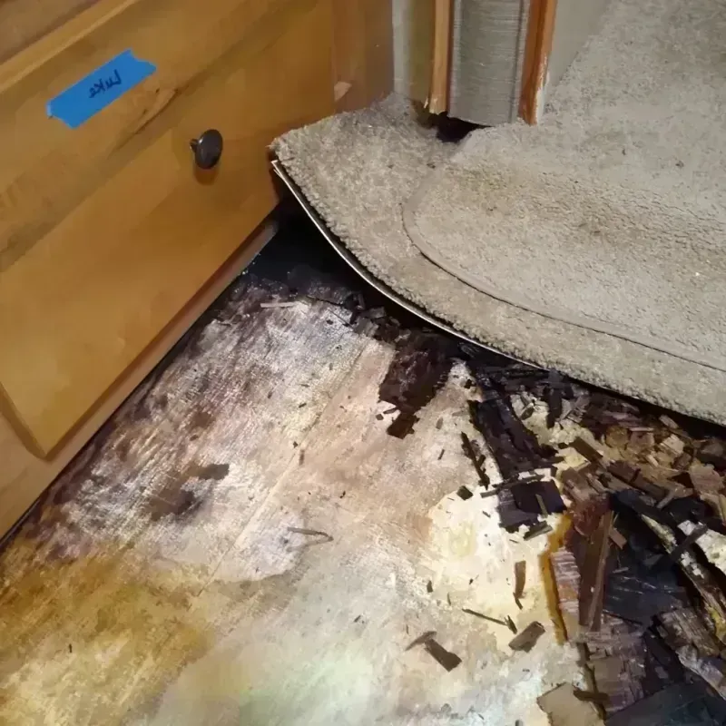 Wood Floor Water Damage in San Angelo, TX